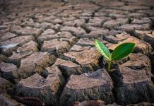 Chile: El desafío pendiente de los sitios contaminados y el rol clave de la remediación ambiental Chile: El desafío pendiente de los sitios contaminados y el rol clave de la remediación ambiental
