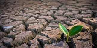 Chile: El desafío pendiente de los sitios contaminados y el rol clave de la remediación ambiental