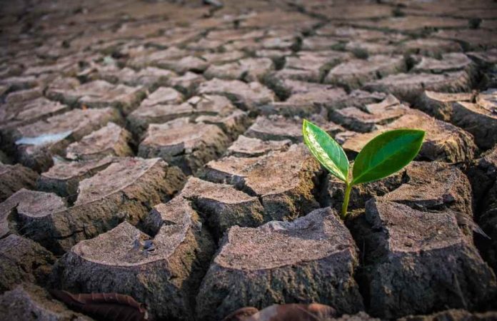 Chile: El desafío pendiente de los sitios contaminados y el rol clave de la remediación ambiental