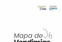 Chile inicia temporada de vendimias con más de 40 fiestas entre febrero y mayo