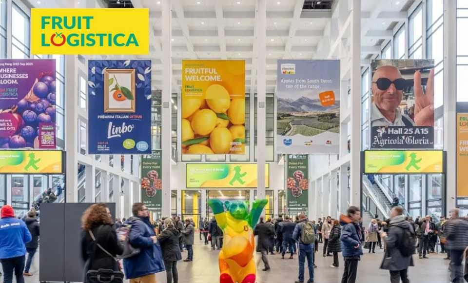 Chile lleva el  "Polen Puro" a Fruit Logistica 2026: Zimex y Europollen desembarcan con respaldo de la Universidad de Bolonia