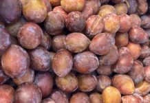 China | Los primeros envíos de ciruelas sudafricanas llegan a China China Los primeros envíos de ciruelas sudafricanas llegan a China