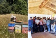 Ciencia nuclear al servicio de la miel chilena: CCHEN fortalece la trazabilidad y combate el fraude alimentario