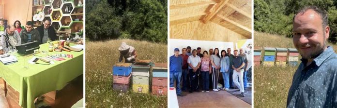 Ciencia nuclear al servicio de la miel chilena: CCHEN fortalece la trazabilidad y combate el fraude alimentario