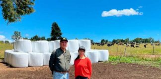 Circularidad en la cadena láctea: Proyecto piloto impulsa el reciclaje de plásticos en el rubro lechero