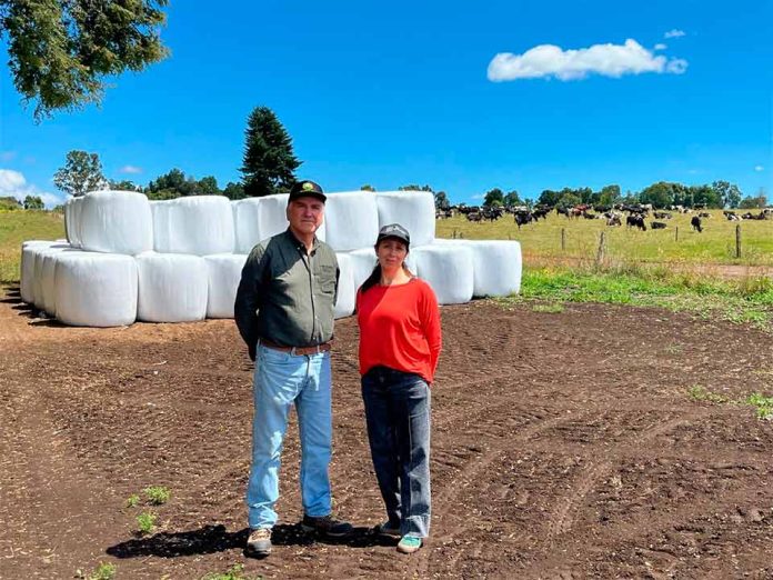 Circularidad en la cadena láctea: Proyecto piloto impulsa el reciclaje de plásticos en el rubro lechero