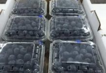 Colombia establece impuesto a plásticos de un solo uso para todos los envases y embalajes de productos importados Colombia establece impuesto a plásticos de un solo uso para todos los envases y embalajes de productos importados