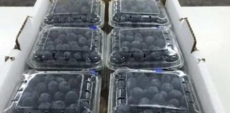 Colombia establece impuesto a plásticos de un solo uso para todos los envases y embalajes de productos importados