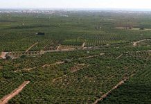 El sector alimentario pide estabilidad ante un posible giro regulatorio post-Brexit