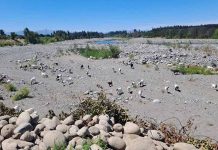 Difícil situación hídrica afecta al Maule