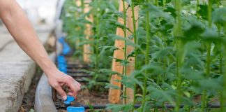 Eficiencia hídrica en la agricultura y una ley que perdió el foco