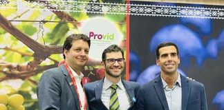 El Global Grape Group (GGG) y Agronometrics lanzan el primer «Global Grape Report»
