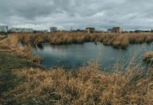 El cuidado del agua comienza en casa: hábitos y soluciones eficientes para un consumo responsable
