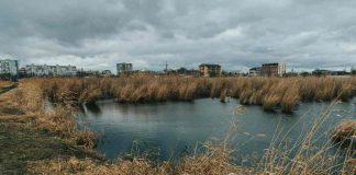 El cuidado del agua comienza en casa: hábitos y soluciones eficientes para un consumo responsable
