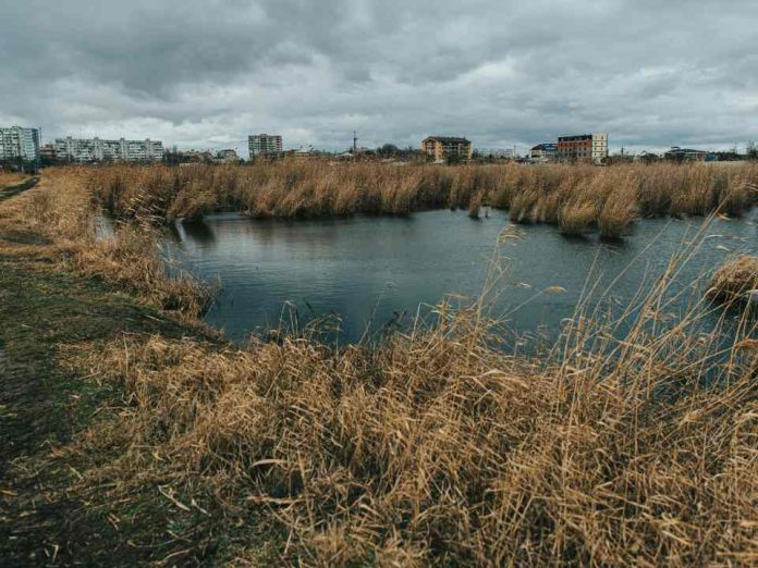 El cuidado del agua comienza en casa: hábitos y soluciones eficientes para un consumo responsable