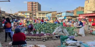 El "medio oculto" y su aporte a la transformación agrícola inclusiva