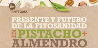El sector del pistacho y el almendro aborda en Tomelloso sus grandes retos fitosanitarios