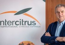 España Intercitrus | La extensión de norma marca una nueva etapa para el sector citrícola español España Intercitrus La extensión de norma marca una nueva etapa para el sector citrícola español
