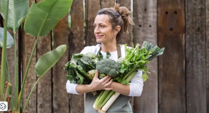 España | “Los vegetales tienen comportamientos y durabilidades muy diferentes si se tratan bien”