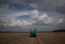 Farm Europe: «Ucrania es el elefante en la habitación de la PAC» Arándanos: investigan la biología reproductiva para potenciar el mejoramiento genético