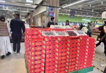 Fruta asiática Las cerezas chilenas alcanzan un 'punto de inflexión' en China