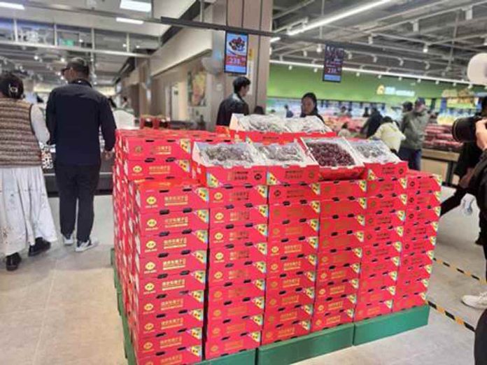 Fruta asiática Las cerezas chilenas alcanzan un 'punto de inflexión' en China