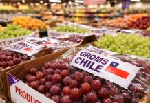 Fruta chilena bajo presión: sector pide gestiones ante nuevo arancel de EE.UU. Fruta chilena bajo presión: sector pide gestiones ante nuevo arancel de EE.UU.