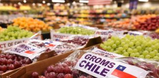 Fruta chilena bajo presión: sector pide gestiones ante nuevo arancel de EE.UU.