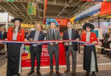 Frutas de Chile marca presencia en Fruit Logistica 2026: Europa se consolida como mercado clave para las exportaciones de frutas frescas chilenas con un crecimiento de 22% Frutas de Chile marca presencia en Fruit Logistica 2026: Europa se consolida como mercado clave para las exportaciones de frutas frescas chilenas con un crecimiento de 22%