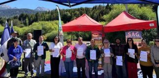 Hito para la apicultura del sur austral: SAG declara libres de enfermedades apícolas a las comunas de Chaitén, Palena y Futaleufú