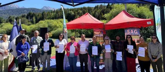 Hito para la apicultura del sur austral: SAG declara libres de enfermedades apícolas a las comunas de Chaitén, Palena y Futaleufú