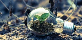 IA y medio ambiente creciente consumo energético pone en riesgo la sostenibilidad