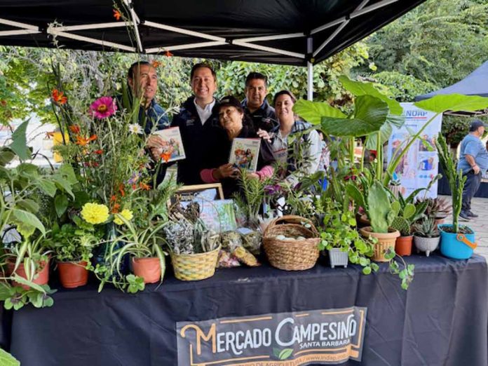 INAUGURACIÓN MERCADO CAMPESINO EN SANTA BÁRBARA