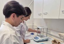 INIA y Royal Botanic Gardens, Kew abren postulaciones a curso internacional sobre conservación de semillas