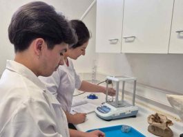 INIA y Royal Botanic Gardens, Kew abren postulaciones a curso internacional sobre conservación de semillas