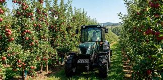 Importación de Maquinaria Agrícola en Chile: Tendencias y Análisis de Mercado