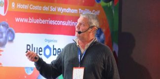 Inducción floral en arándanos la base fisiológica que ordenará el inicio del bloque técnico en Lima 2026