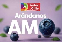Industria argentina del arándano destaca la promoción de los arándanos chilenos para fortalecer el consumo de la categoría Industria argentina del arándano destaca la promoción de los arándanos chilenos para fortalecer el consumo de la categoría
