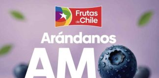 Industria argentina del arándano destaca la promoción de los arándanos chilenos para fortalecer el consumo de la categoría