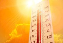 Informe de Amenaza Agrometeorológica de la DMC: Temperaturas máximas altas entre las regiones de Coquimbo y Metropolitana hasta el lunes 09 de febrero 2026