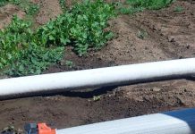 Innovación circular en Los Lagos: sistema de riego con plástico reciclado logra más de 65% de eficiencia y reduce consumo energético Innovación circular en Los Lagos: sistema de riego con plástico reciclado logra más de 65% de eficiencia y reduce consumo energético