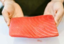 Innovación y tecnología marcarán AQUASUR 2026: el encuentro acuícola que reunirá a líderes del sector en el sur de chile