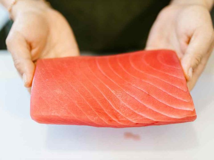 Innovación y tecnología marcarán AQUASUR 2026: el encuentro acuícola que reunirá a líderes del sector en el sur de chile