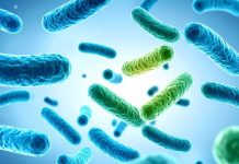 Investigadora de CREAS desarrollará probióticos más resistentes a partir de bagazo de cerveza