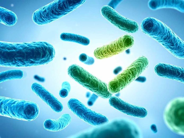 Investigadora de CREAS desarrollará probióticos más resistentes a partir de bagazo de cerveza