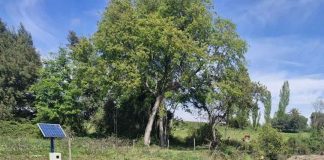 JVRL y modernización de su sistema