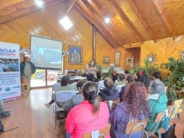 Jóvenes rurales y miembros del Comité Apícola de Aysén se capacitan con apoyo de INDAP y el Gobierno Regional en Chile Chico