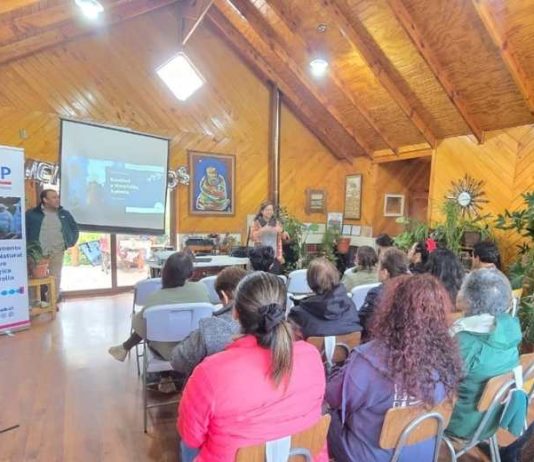 Jóvenes rurales y miembros del Comité Apícola de Aysén se capacitan con apoyo de INDAP y el Gobierno Regional en Chile Chico