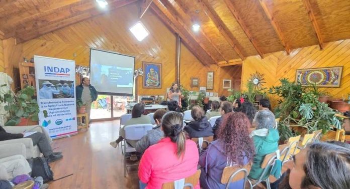 Jóvenes rurales y miembros del Comité Apícola de Aysén se capacitan con apoyo de INDAP y el Gobierno Regional en Chile Chico