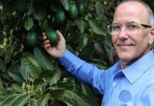 La Comisión del Aguacate de California prevé una cosecha de 150 000 toneladas tras la jubilación del vicepresidente de marketing, Terry Splane La Comisión del Aguacate de California prevé una cosecha de 150 000 toneladas tras la jubilación del vicepresidente de marketing, Terry Splane